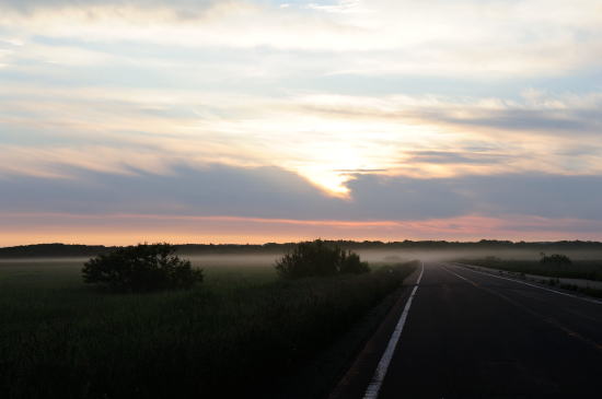  朝靄の道 