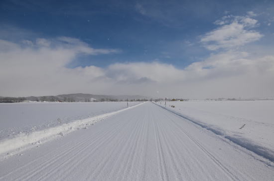 冬の農道