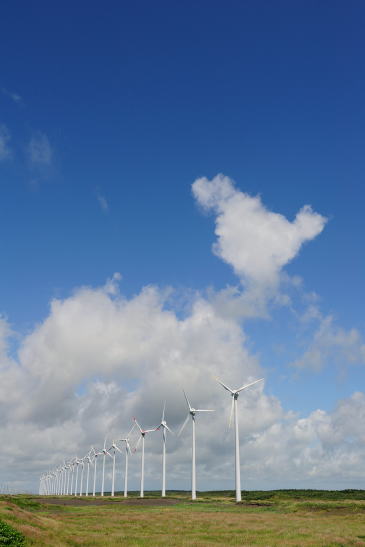 夏雲と発電風車