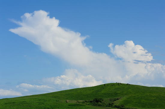 丘と夏雲