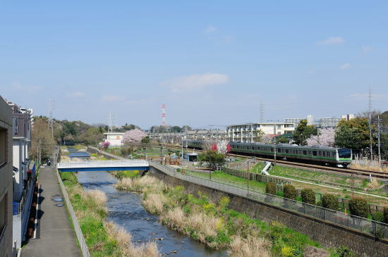 JR横浜線～桜