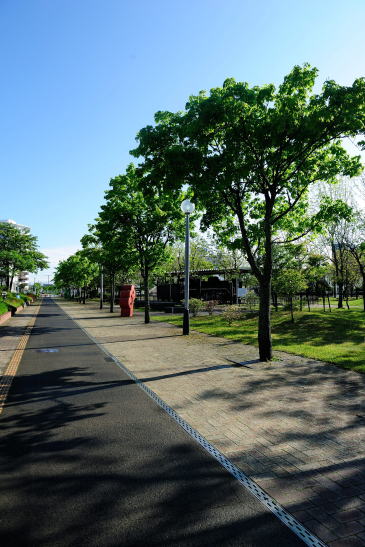 旧釧路停車場(のちの浜釧路駅)に続く線路跡の遊歩道
