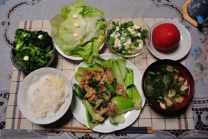 お昼は がんや さんでラーメン 夕食は 豚肉とチンゲン菜の炒め物 でぇあぶつさんのスナップ貼