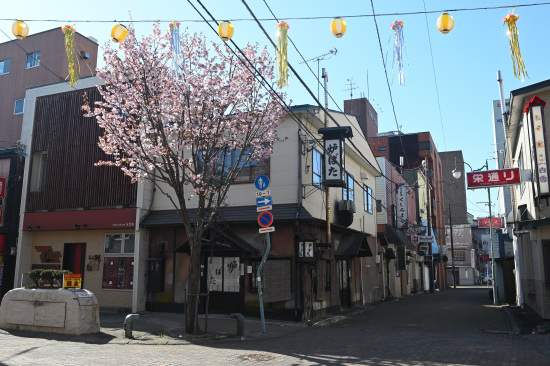 桜咲く末広の街