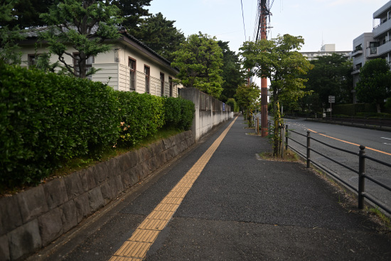 相模女子大前の歩道