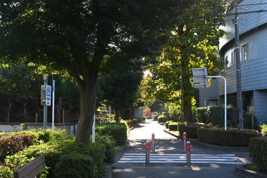 相模緑道緑地