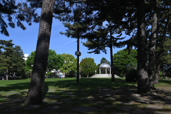 相模大野中央公園