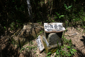 Thumbnail of post image 089
