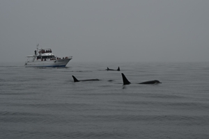 Thumbnail of post image 042