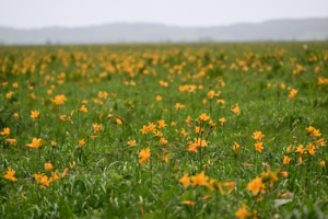 Thumbnail of post image 094