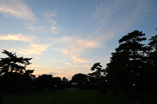 相模大野中央公園