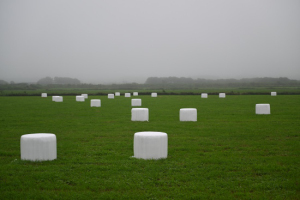 Thumbnail of post image 144