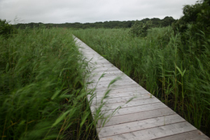 Thumbnail of post image 048