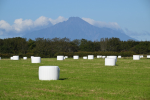 Thumbnail of post image 188