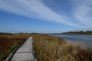 Thumbnail of post image 190