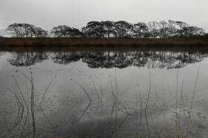 Thumbnail of post image 175