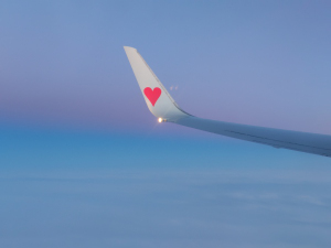 Thumbnail of post image 105