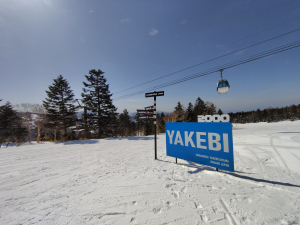 Thumbnail of post image 048